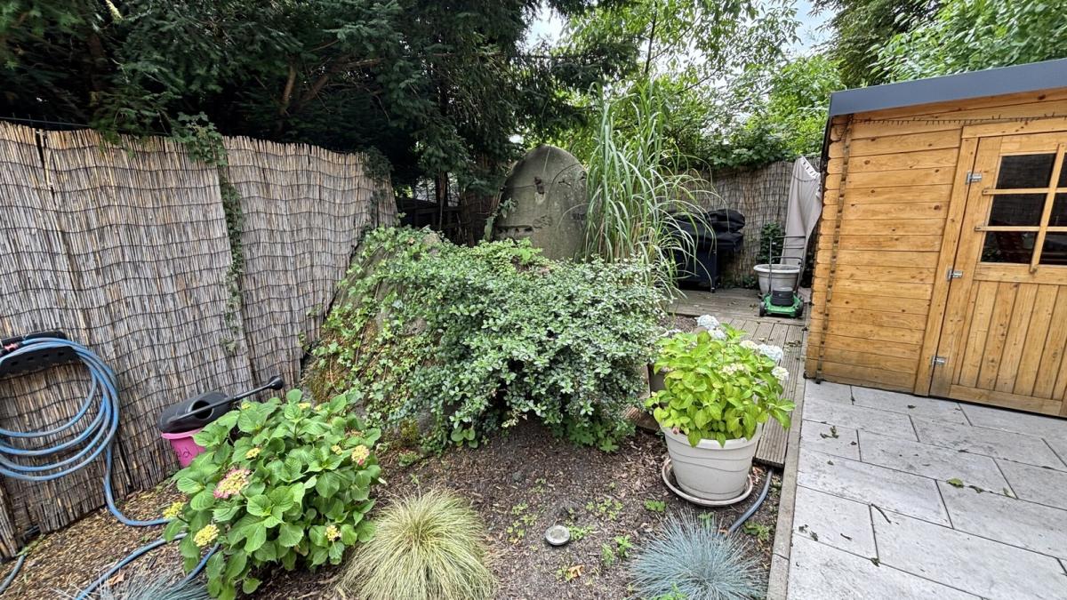 Garten im Sommer