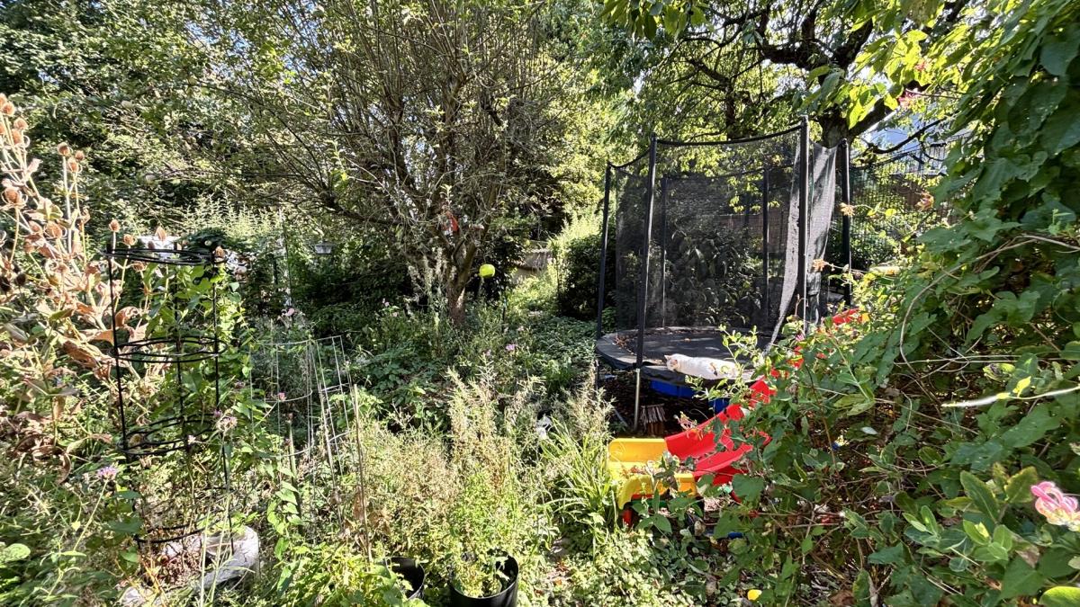 Garten Sommer