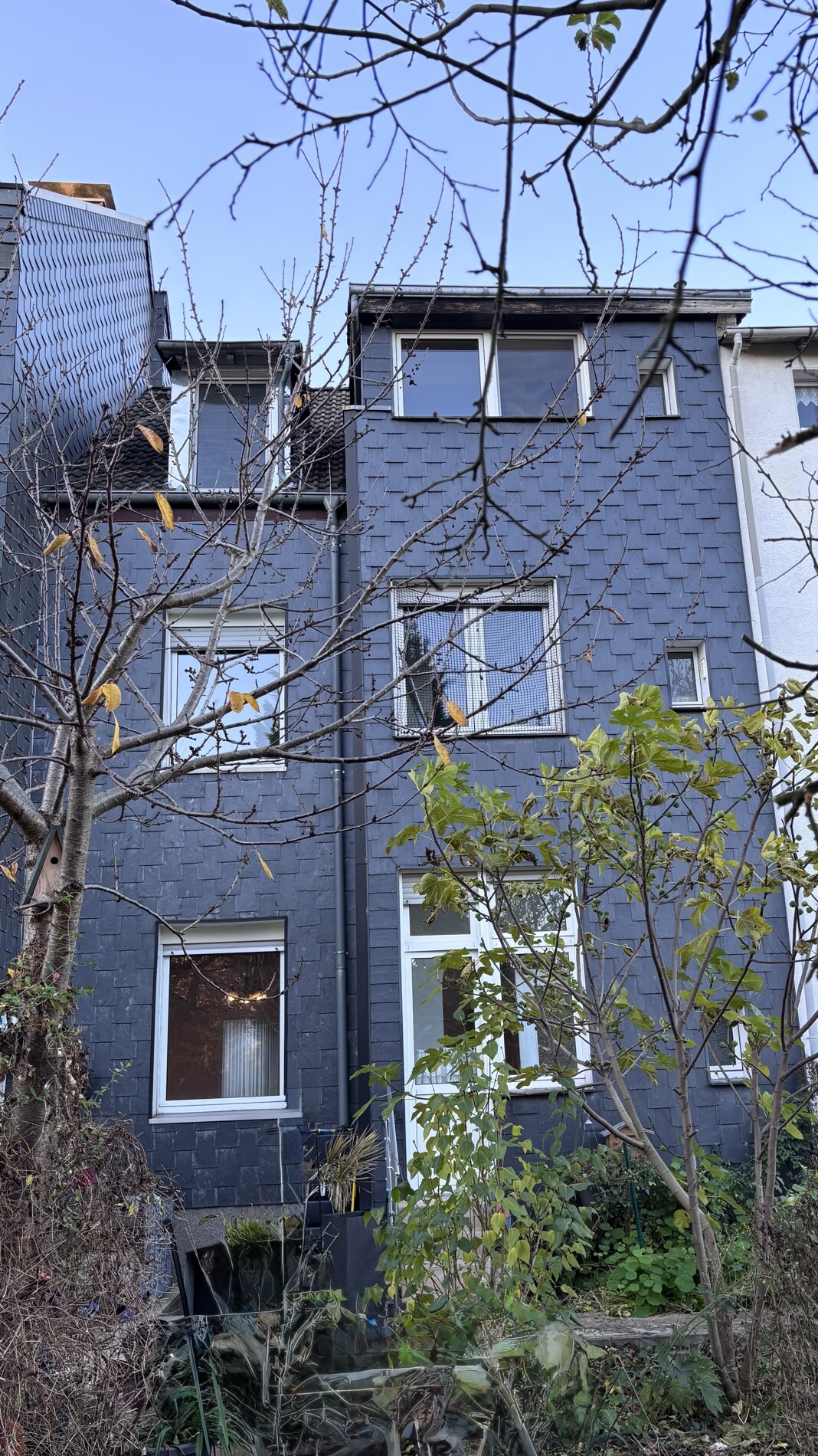 Rückseite